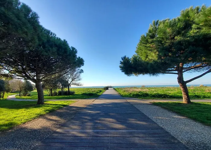 Bongraine Ocean